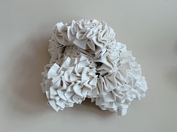 B.01 Merulina robusta, verkocht