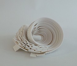 A.04 Actinia möbius, verkocht