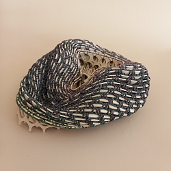 Sessilia Parvum