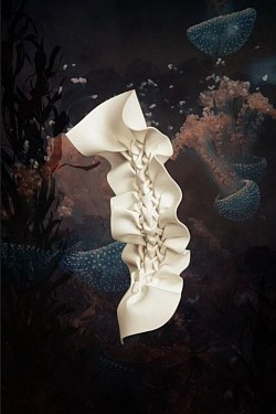 I.02 Nudipleura alba