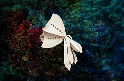 A.02 Articulata richeri