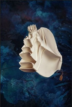 A.01 Actinia gracilis