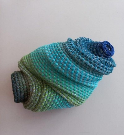 Holothuria translucens cearulo