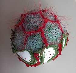 Hydrozoa sphericus