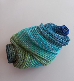 Holothuria translucens turquoise