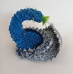 Holothuria caerulo viridis