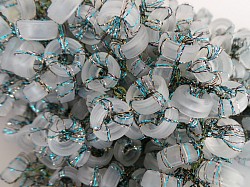 Hydrozoa Translucens