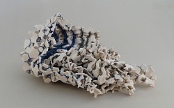 Spongia perforata