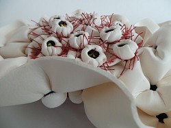 Spongia sessilia