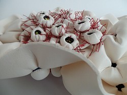 Spongia sessilia