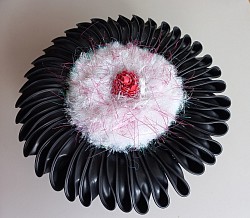 Actinia rosa