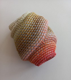 Hydrozoa translucens flavum