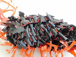 Aeolidia papillosa aliquam