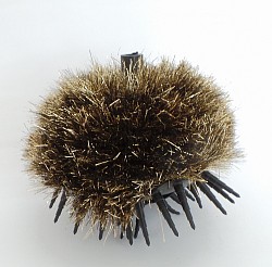 Echinus aurum