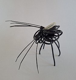 Animalis altis cruribus