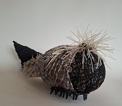 Animalis crista