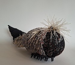 Animalis crista