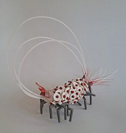 Animalis centipeda