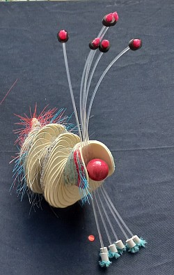 Animalis spiralis