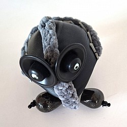 Animalis tardigradum