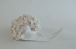 A.06 Articulata circulis, verkocht