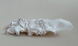 B.04 Echinopora lamellosa