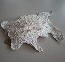 D.06 Crustam alba, verkocht