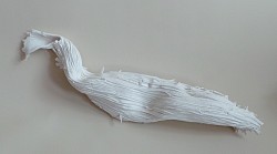 G.01 Pentagonalis, verkocht