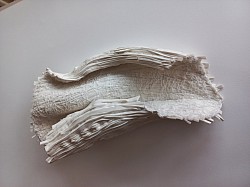 G.04 Pentagonalis